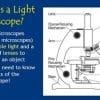 Microscope 101 - How to Use a Light Microscope | Editable