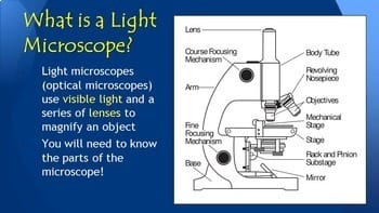 Microscope 101 - How to Use a Light Microscope | Editable