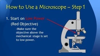 Microscope 101 - How to Use a Light Microscope | Editable