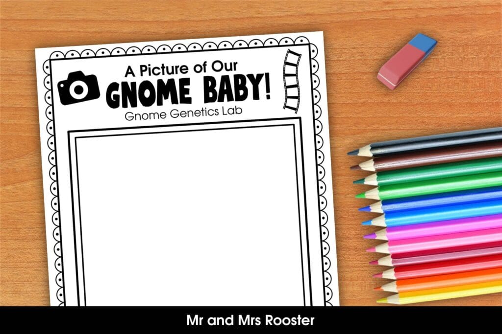 Gnome Genetics Draw Your Gnome by Mr and Mrs Rooster