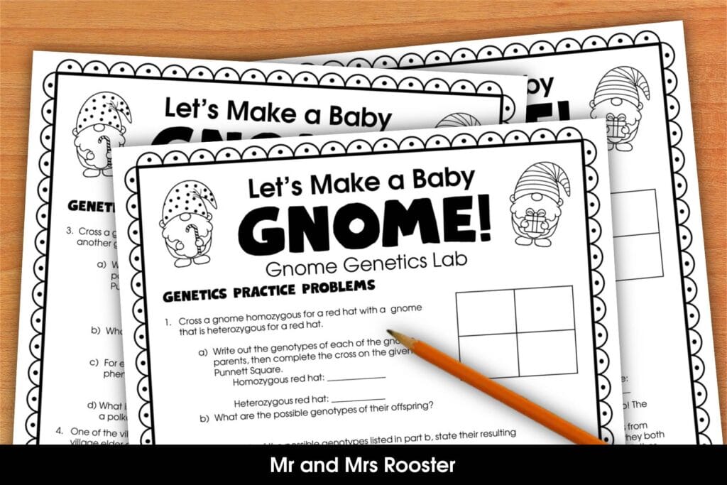 Gnome Genetics Punnett Practice by Mr and Mrs Rooster