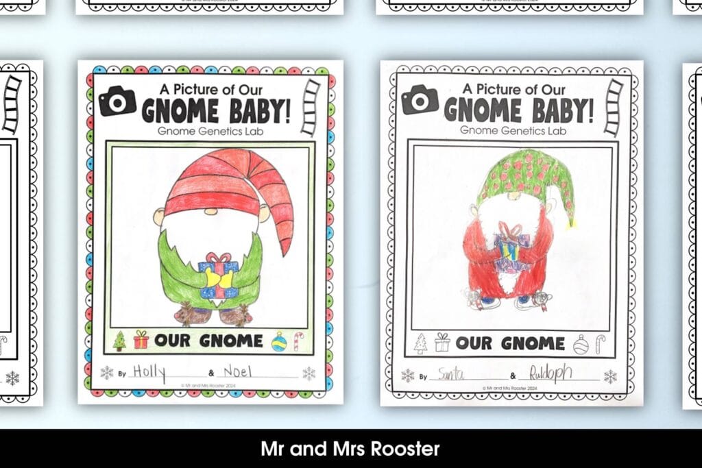 Gnome Genetics Student Examples by Mr and Mrs Rooster