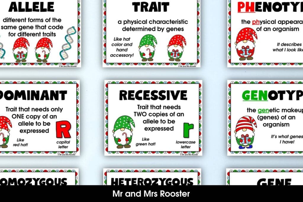 Gnome Genetics Vocabulary Posters by Mr and Mrs Rooster
