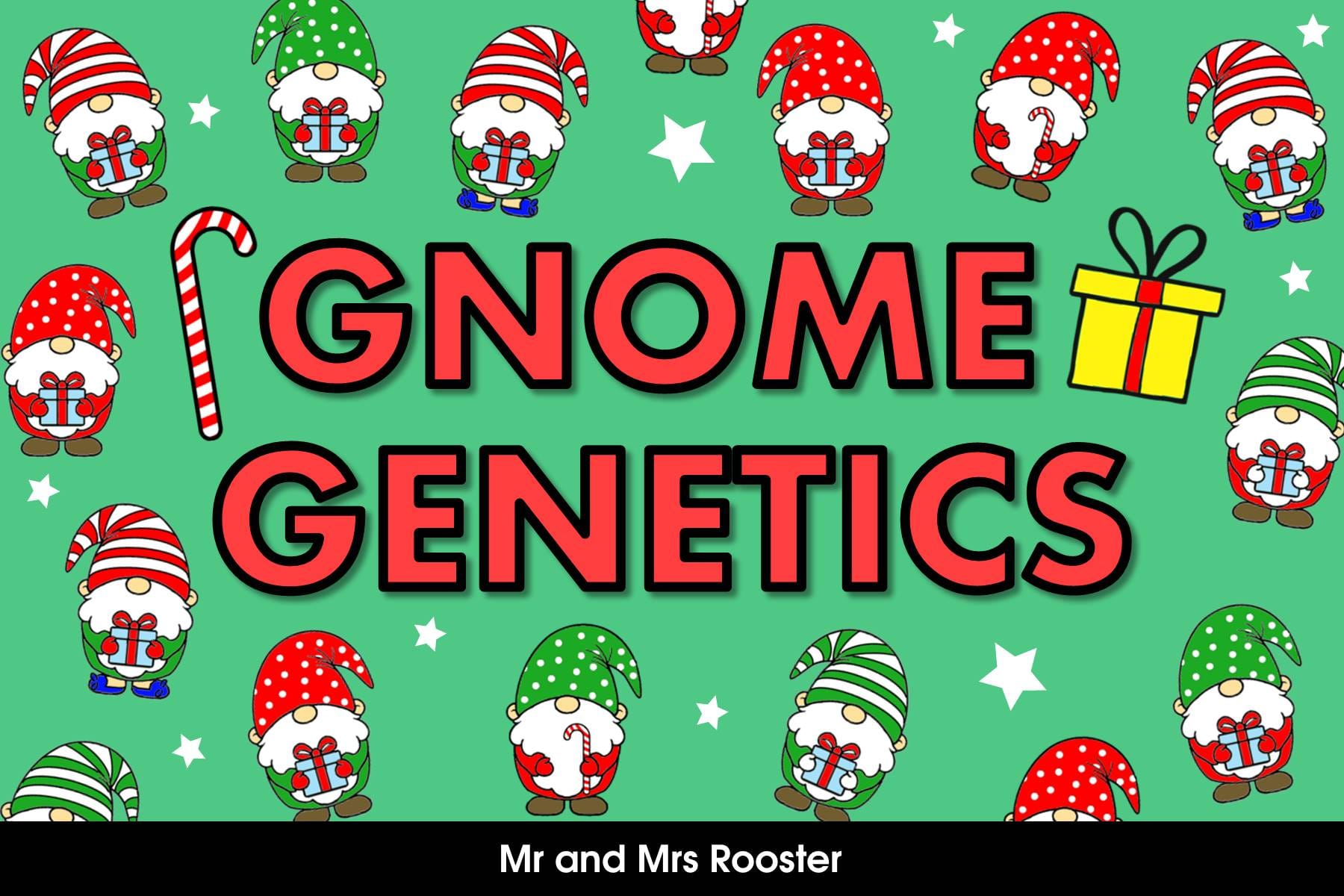 Gnome Genetics by Mr and Mrs Rooster